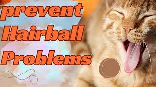 Vet Tips for Preventing Cat Hairballs [upl. by Kim]