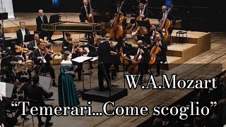 ARD Competition  Mira Alkhovik W A Mozart „Temerari…Come scoglio“ [upl. by Egduj101]