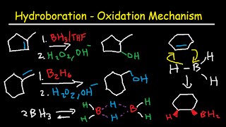 Hydroboration Oxidation Mechanism of Alkenes  BH3 THF H2O2 OH Organic Chemistry [upl. by Selyn]