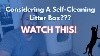 Product Review Considering A SelfCleaning Cat Litter Box WATCH THIS VIDEO FIRST amazonfinds [upl. by Phalan]