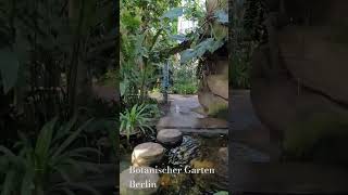 Botanischer Garten in Berlin [upl. by Anaujal]