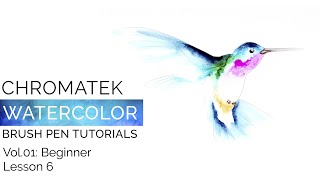 Watercolor Brush Pen Tutorials by Chromatek Beginner Vol01 Lesson 06 [upl. by Culbert]