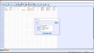 Entering Likert Scale Data into SPSS [upl. by Aneelahs]