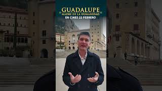 Miquel Bordas Presidente Internacional Milicia Inmaculada te invita a ver GUADALUPE [upl. by Anerec]