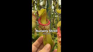 Nursery Stroll – Part 81 [upl. by Jelle]