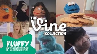 Fluffy Friends  Epic Comedy Vine Compilation [upl. by Pleasant664]