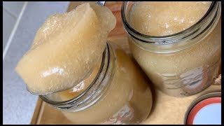 HOW TO MAKE THE WORLDS BEST SUPERFOOD SEA MOSS GEL HOW TO MAKE SEA MOSS GEL  TERRIANN’S KITCHEN [upl. by Nesyaj]