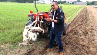 เครื่องไถหัวหมู Moldboard plow for paddy field in Thailand [upl. by Sitoel]