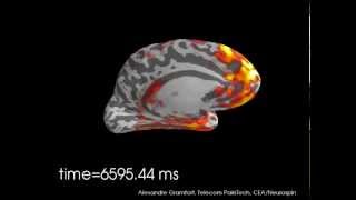 Source localization of continuous Magnetoencephalography MEG data [upl. by Carney327]