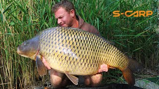 Bányatavi pontyhorgászat  Gravel pit carp fishing [upl. by Kaasi]