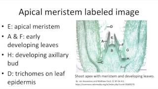 Artichoke Leaf Extract  Reviews Facts amp Warnings  by Dr Sam Robbins [upl. by Cyd791]