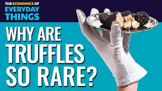 Truffles Replay  The Economics of Everyday Things [upl. by Remark69]