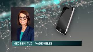 20240815 MECSEKI TUZ VADEMELES [upl. by Brosy]