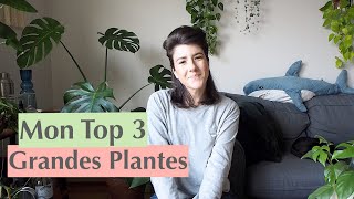 Grandes plantes dintérieur  Mon Top 3 [upl. by Accissej452]