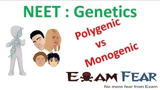 NEET Biology Genetics  Polygenic vs Monogenic Polygenic and Environment [upl. by Survance]