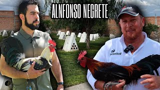 Alfonso Negrete  ¿Cuándo comenzar a quotVitaminar en la Pelecha [upl. by Eelyk]