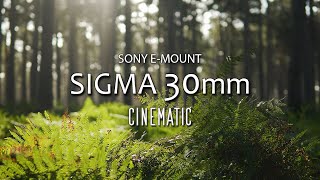 Sony a6400  SIGMA 30mm 14 DC  4K Cinematic Video TEST [upl. by Ainavi476]