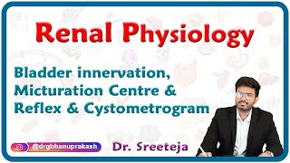 Bladder innervation Micturation centre amp Reflex and Cystometrogram  Renal physiology USMLE Step 1 [upl. by Nirrok]