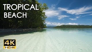 4K HDR Tropical Beach  Gentle Ocean Wave Sounds  Peaceful Wild Island  Relaxing Nature Video [upl. by Sinnal]