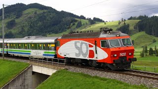 SOB  Schweizerische Südostbahn  Locomotives Re 446 015  446 018 19952019 [upl. by Yuk555]