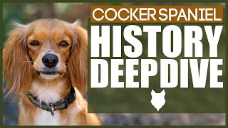 History Of The COCKER SPANIEL [upl. by Carver]