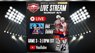 NBHL North Jersey Tier 2 Finals Game 3  Long Island Ball Hockey Club vs Long Island Sound [upl. by Niles]