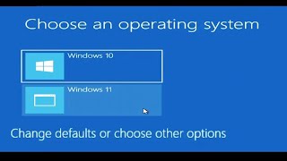 How To Install Dual Windows 10 and Windows 11 On The Same Computer [upl. by Melanie276]