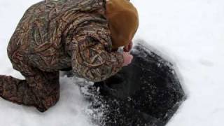 7 pound lake trout caught while icefishing [upl. by Cheria687]