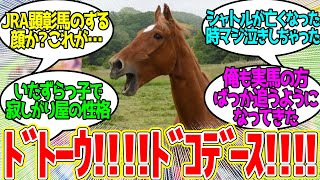 ウマ娘最近初めたけど、むしろ実馬が可愛くて動画ばかり見てる…に対するみんなの反応！【競馬 の反応集】 [upl. by Carpet]