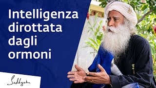 Quando lintelligenza viene dirottata dagli ormoni  Sadhguru Italiano [upl. by Cadmann]