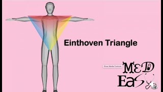 einthoven triangle [upl. by Ecnaiva]