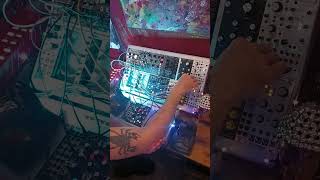 RESONATING MADNESS idm filter eurorack electronicmusic trance wasp techno melodic noise [upl. by Cir]