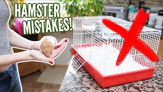 6 MISTAKES hamster owners make [upl. by Venola]