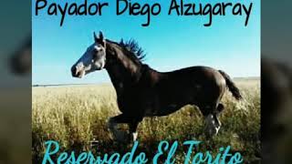 Reservado quotEl Toritoquot  Diego Alzugaray [upl. by Nolana]