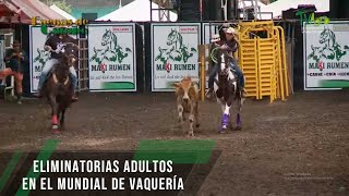 Eliminatorias Adultos en el Mundial de Vaquería  TvAgro por Juan Gonzalo Angel Restrepo [upl. by Tdnerb]