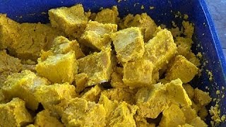 Freezing turmeric for long term storage [upl. by Konstance]