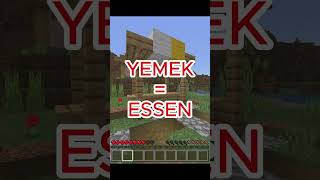 TÜRKE SPIELT MINECRAFT😂👌minecraft [upl. by Annemarie110]