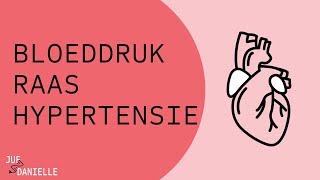 Bloeddruk RAAS en hypertensie [upl. by Eimmelc]