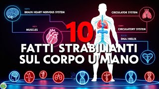 10 Fatti Strabilianti sul Corpo Umano [upl. by Lairbag]