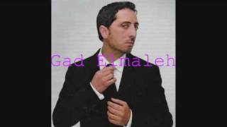 Gad Elmaleh  quotJsuis pas un bouffonquot  Lautre cest moi [upl. by Acinej]