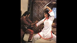 楊盼盼 Sharon Yang Pan Pan fight scenes 77 TV 81 Lion v Lion [upl. by Nema208]