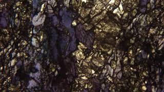 Amphibole glaucophane au microscope polarisant LPNA [upl. by Yennep529]