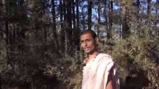 Prarambh Siddha Yoga Sadhana Shivir [upl. by Deach]