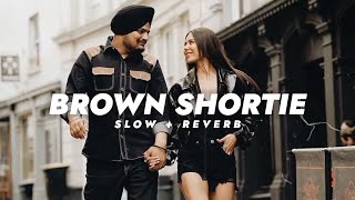 Brown Shortie  Sidhu Moose Wala  Slowed  Reverb [upl. by Daron]