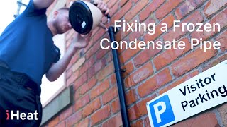 How to Fix a Frozen Boiler Condensate Pipe [upl. by Norym253]