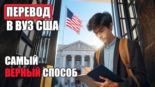 Как перевестись в американский ВУЗ  Учеба в США [upl. by Hepsibah490]