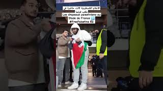 Les drapeaux palestiniens au StadedeFrance FreePalestine متداول الجزائر [upl. by Anomis]