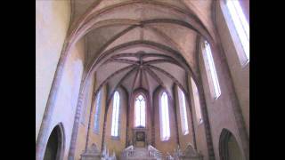 Abbaye de Moissac [upl. by Nyrehtak]