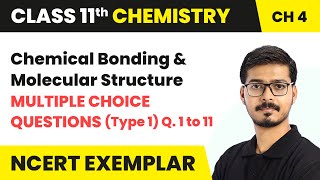 Chemical Bonding and Molecular Structure  MCQs Type 1  Que 1 to 11  Class 11 Chemistry Ch 4 [upl. by Yhtomot769]