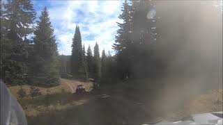 Whipsaw Trail RZR ride Coalmont BC [upl. by Nawed478]